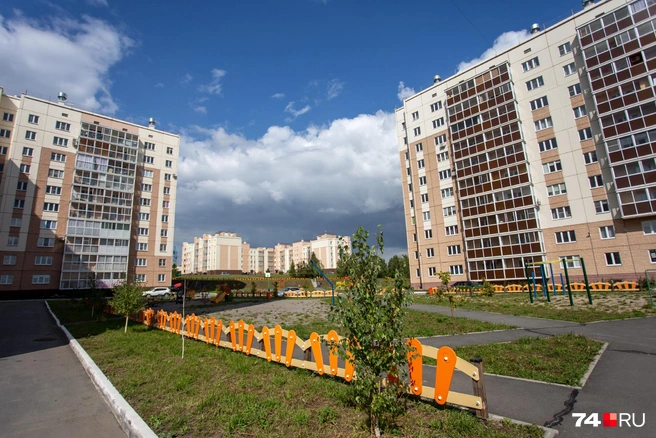 Территорию регулярно обрабатывают от клещей — что важно! | Источник: Илья Бархатов