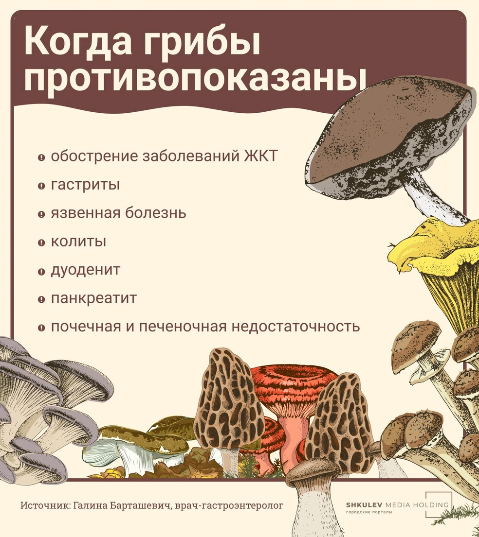 Польза и вред грибов для организма: каким отдать предпочтение - 23 августа  2023 - НГС24.ру