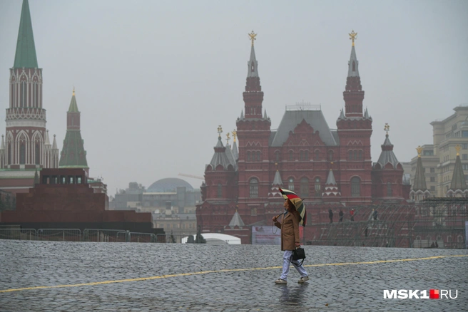 «За билетами в Кремль гигантские очереди». Москвичи ополчились на туристов в городе | Источник: Артём Устюжанин / MSK1.RU