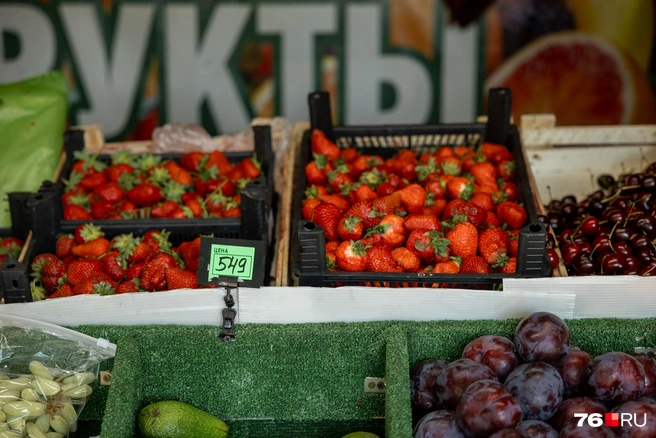 В палатке у ТЦ «Флагман» клубника ещё дороже — 549 рублей за килограмм | Источник: Александр Куренной / 76.RU