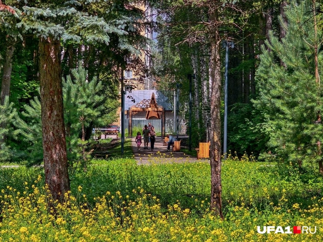 Те же самые елочки стоят в центре парка | Источник: Булат Салихов / UFA1.RU