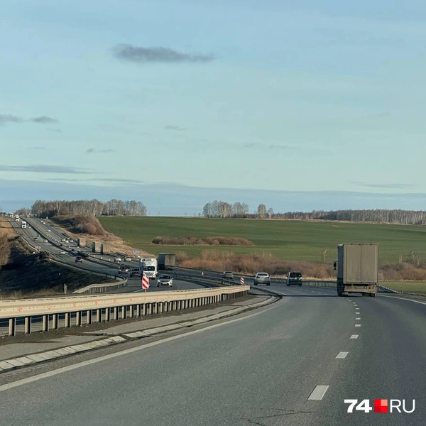 Такой пейзаж даже на осенний не похож: мысли только о весне | Источник: читатель 74.RU