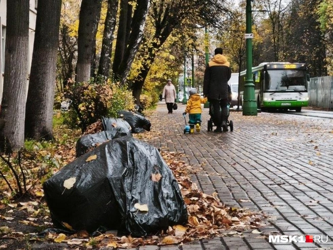 На улицах то и дело валяются черные пакеты с опавшими листьями | Источник: Михаил Мечев / MSK1.RU