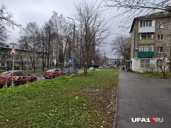 Источник: Булат Салихов / UFA1.RU