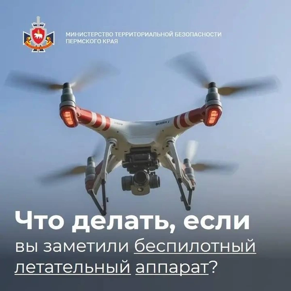 Источник: Министерство территориальной безопасности Пермского края