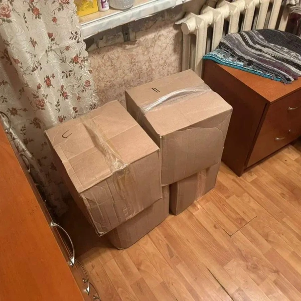 Источник: ГУ МВД РФ по Санкт-Петербургу и Ленобласти