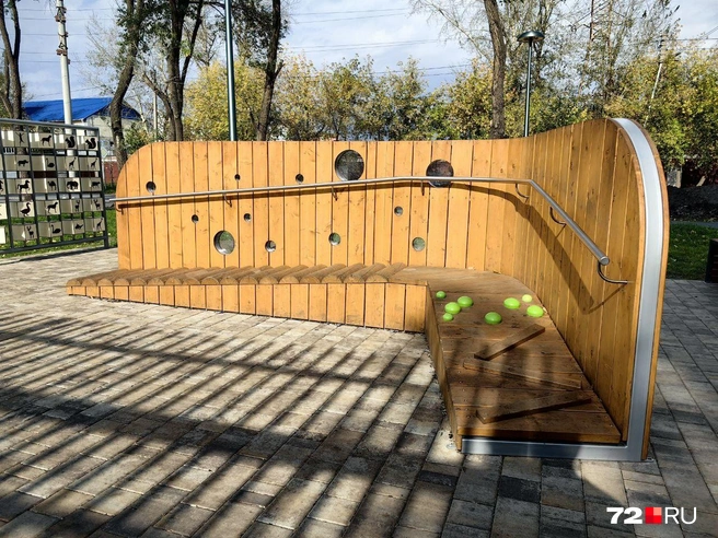 И даже немного побегать  | Источник: Павел Красоткин / 72.RU 