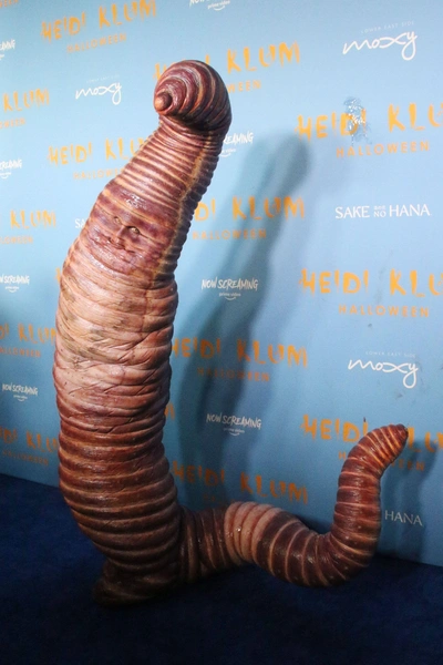 Хэллоуин, Хеллоуин, Хэллоуин 2025, Хайди Клум | Источник: INSTAR Images LLC