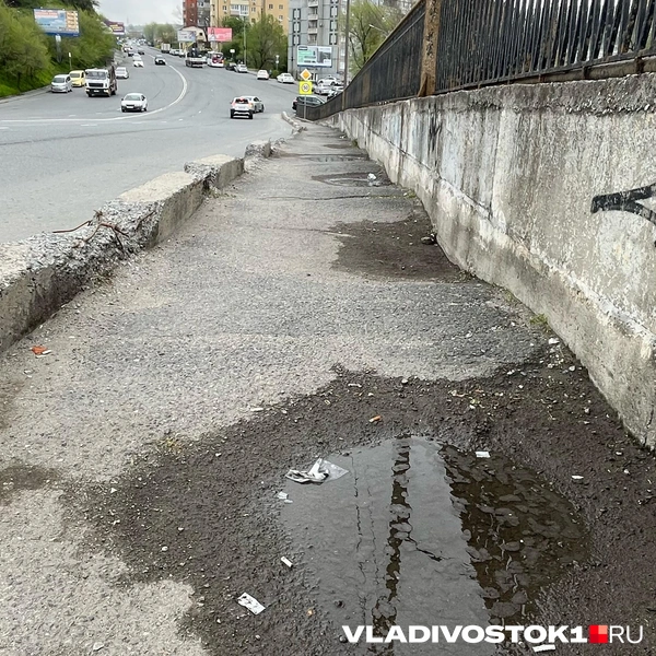 Источник: Елена Буйвол / VLADIVOSTOK1.RU