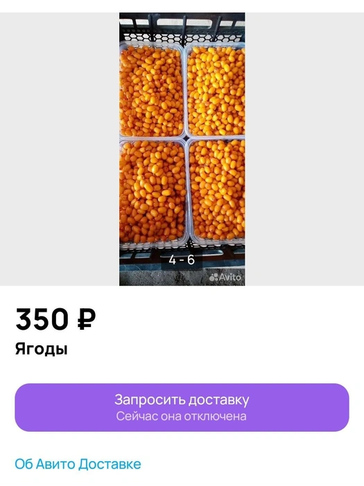 Скоро в Ханты-Мансийск привезут облепиху из Курганской области | Источник: Avito.ru