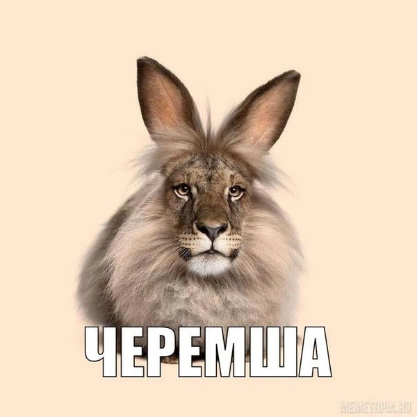 Источник: Соцсети 