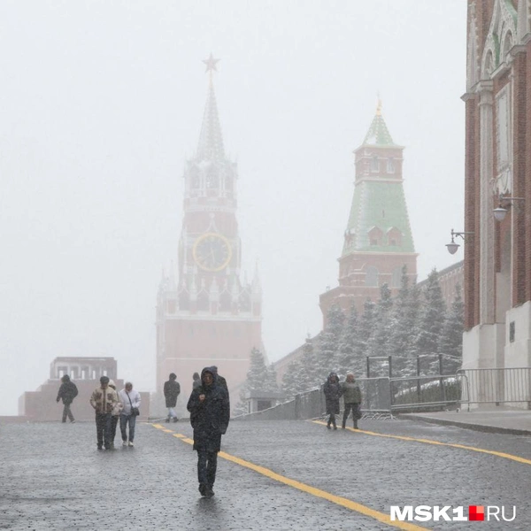 Источник: Татьяна Спиридонова / MSK1.RU