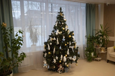 Инфекционист о клещах на новогодних елках