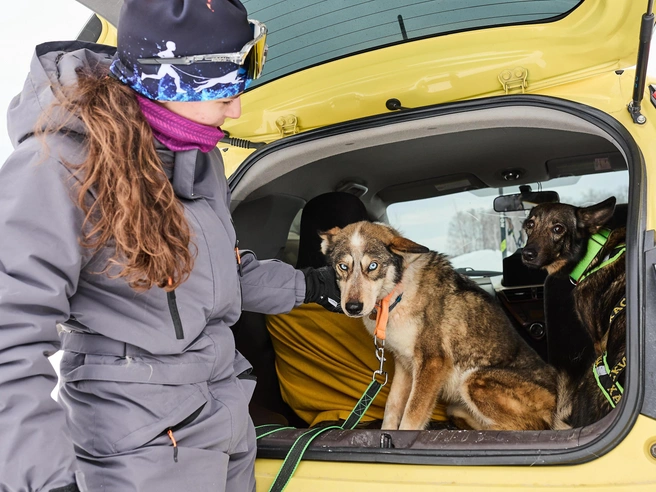 Победителям вручают грамоты и медали. | Источник: Александр Ощепков / NGS.RU 