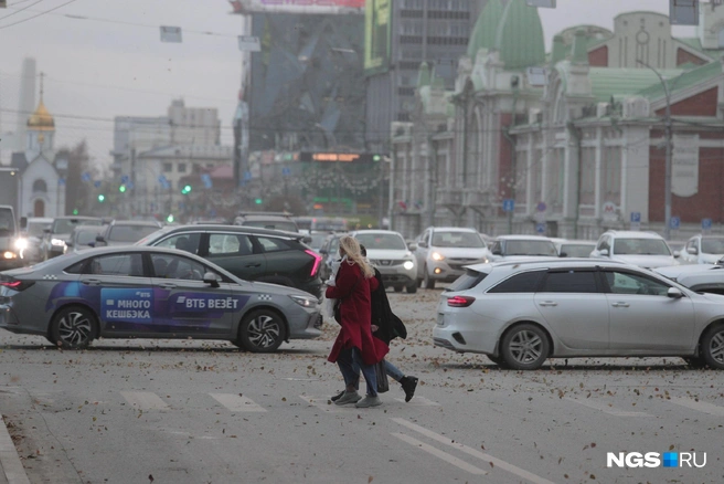 Листья с деревьев сразу сдуло | Источник: Андрей Бортко / NGS.RU