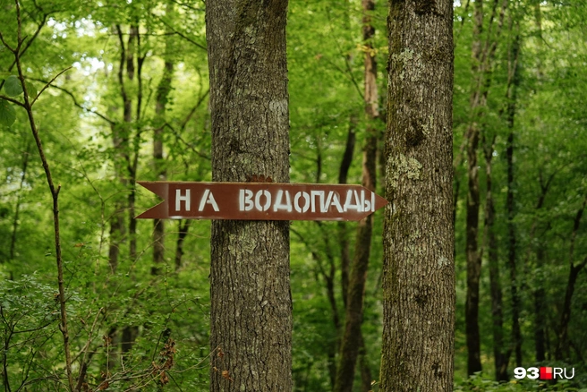 Сориентироваться помогут указатели  | Источник: Дарья Паращенко / 93.RU