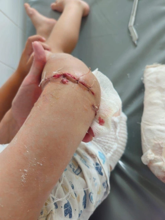 Источник: «ОПС-медиа» / t.me