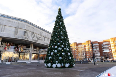 Уголовное дело о ремонте ТЮЗа: ущерб 96 млн рублей