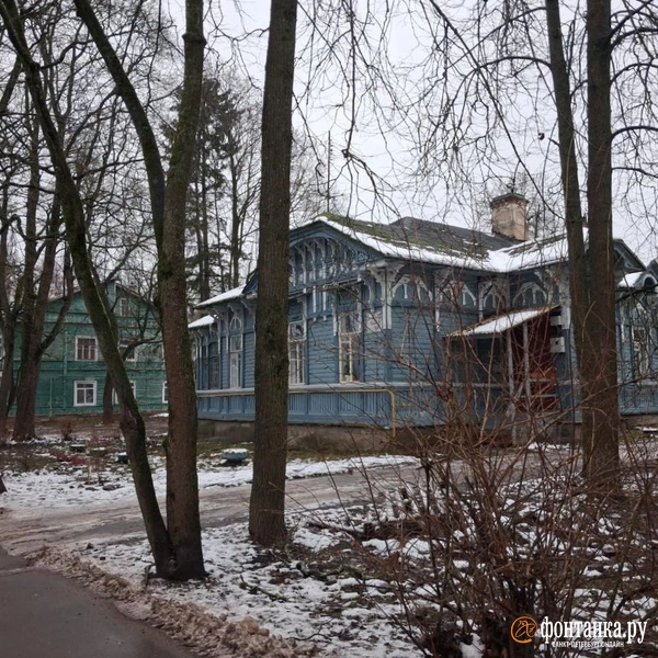 Источник: Анна Мотовилова / «Фонтанка.ру»