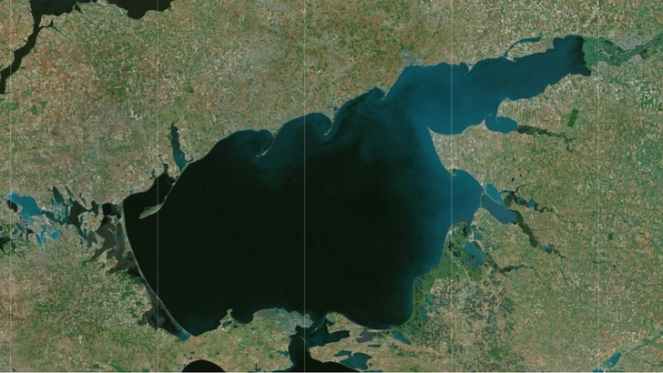 Жирный, всеядный, быстро растет. В Азовском море может остаться один вид рыбы, да и тот чужеродный