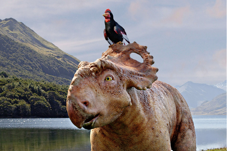 Спорный момент: 8 невероятных фактов о динозаврах