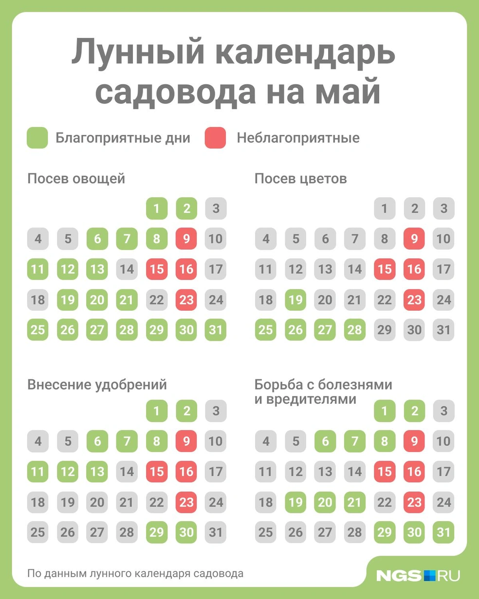 Источник: Юрий Орлов / Городские медиа