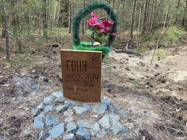 Сохранилась и могила кошки Сони, однако, возможно, она появилась тут уже после ликвидации старых | Источник: Ирина Господаренко / NGS22.RU