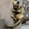 userpic__Асенька 