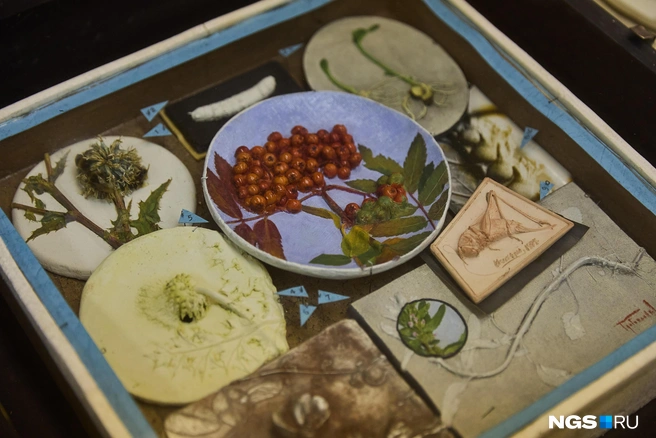 Виктор Гребенников прославился как ученый и художник  | Источник: Александр Ощепков / NGS.RU