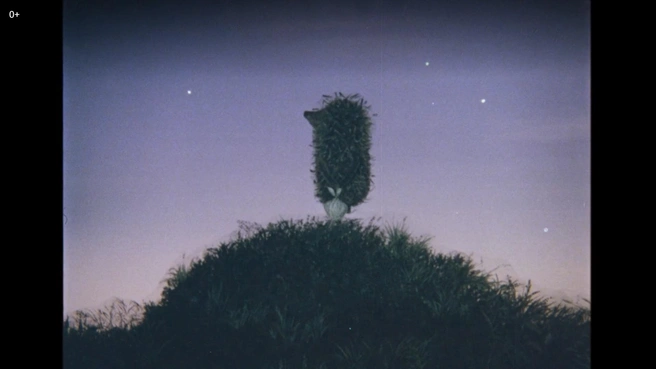 Источник: кадр из мультфильма Юрия Норштейна «Ежик в тумане»