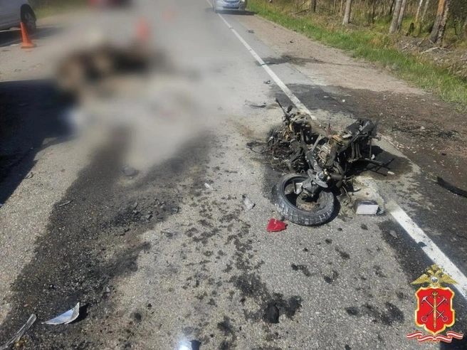 Погиб немолодой петербуржец. Подробности ДТП, в котором скутер сгорел после встречи с «пятёркой» и лосем | Источник: МВД