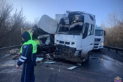 Водитель погиб в столкновении грузовиков под Волгоградом