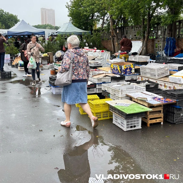 Источник: Елена Буйвол / VLADIVOSTOK1.RU