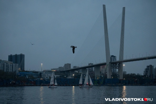 Источник: Елена Буйвол / VLADIVOSTOK1.RU