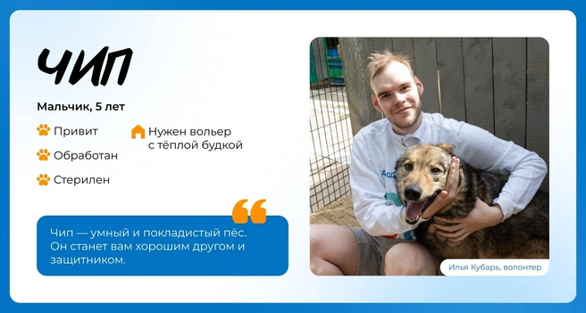 Источник: Василиса Молахова, Евгений Шаров