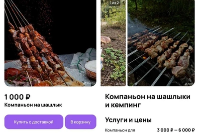В Москве появились платные компаньоны для шашлыков