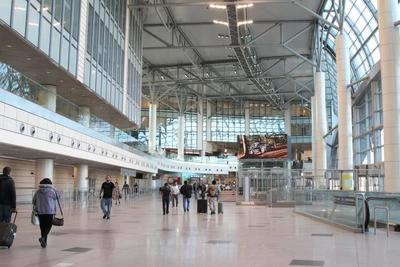 Аэропорты Домодедово и Жуковский временно ограничили взлет и посадку