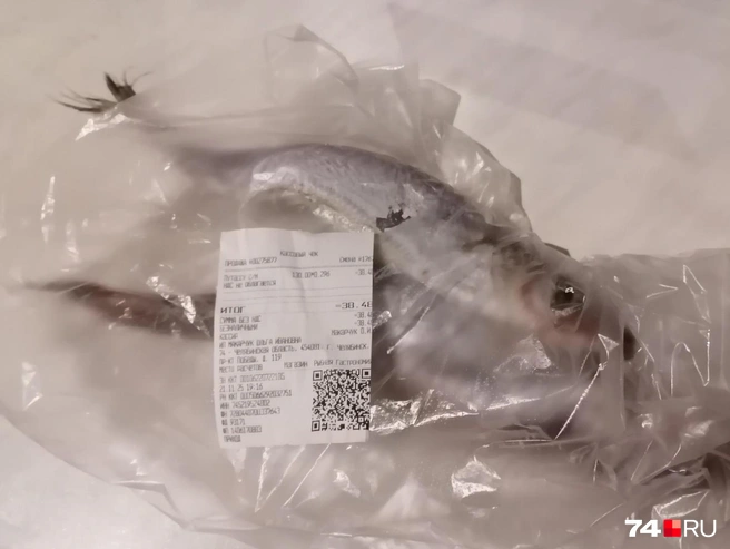 Иногда путассу в заморозке выглядят как палки сухого льда. Это не тот случай | Источник: Дарья Милославская