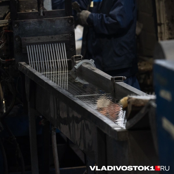 Источник: Елена Буйвол / VLADIVOSTOK1.RU