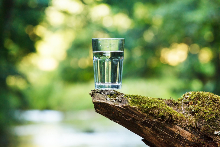 Хищные бактерии вместо хлора: предложен новый способ очистки питьевой воды