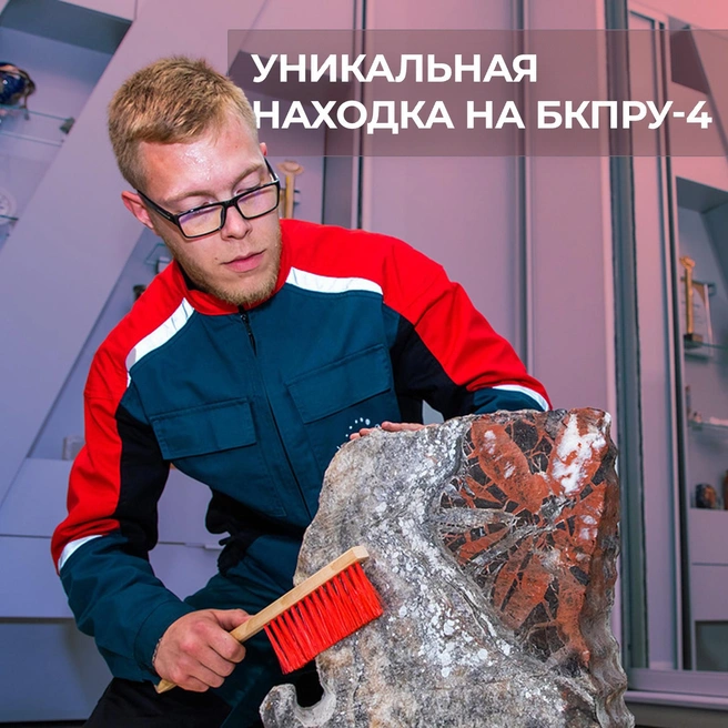 Окаменелое дерево обнаружил машинист во время работы в шахте в Березниках | Источник: Уралкалий / Vk.com