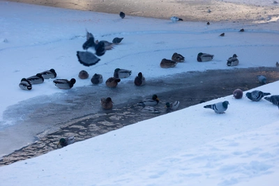 Прогноз погоды в Екатеринбурге на ближайшие дни