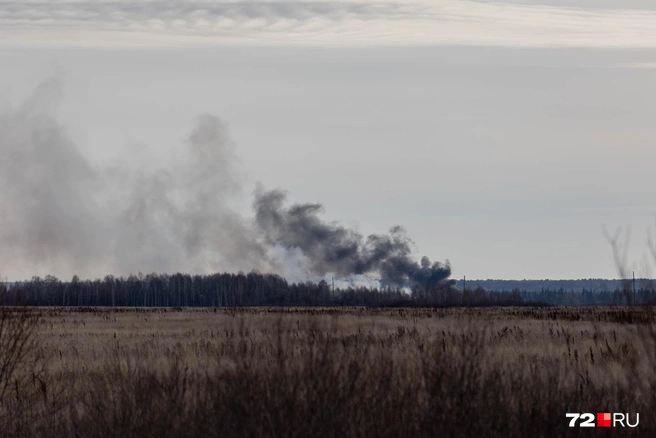 Источник: Ирина Шарова / 72.RU