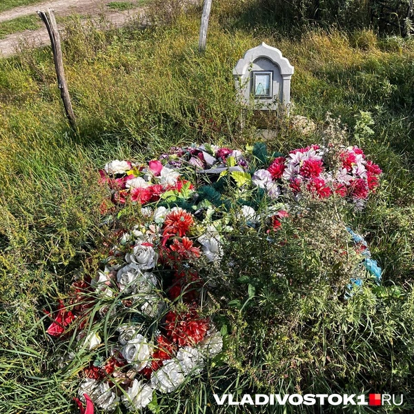 Источник: Елена Буйвол / VLADIVOSTOK1.RU