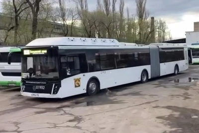 Автобусы-гармошки на 150 пассажиров вышли в Воронеже