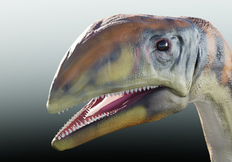 В Гренландии обнаружены останки нового вида динозавров