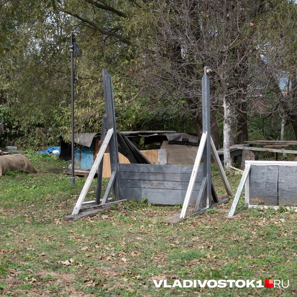 Источник: Елена Буйвол / VLADIVOSTOK1.RU