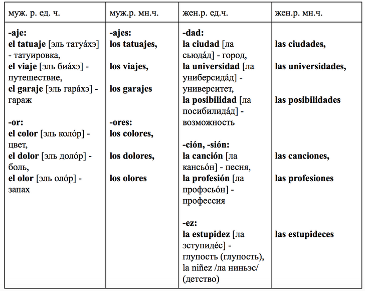Зажигательный испанский: урок 4 — изучаем род и число существительных