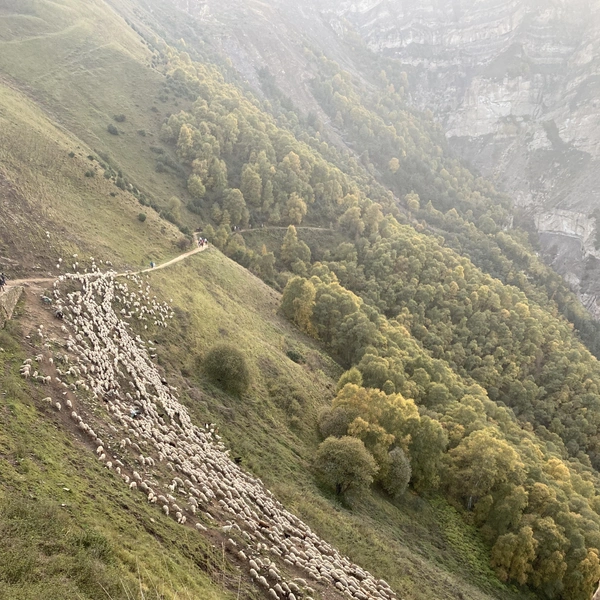 Гуниб и Гамсутль | Источник: Габриелла Захарова / 26.RU
