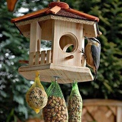 Как сделать кормушку для птиц своими руками: 5 простых идей